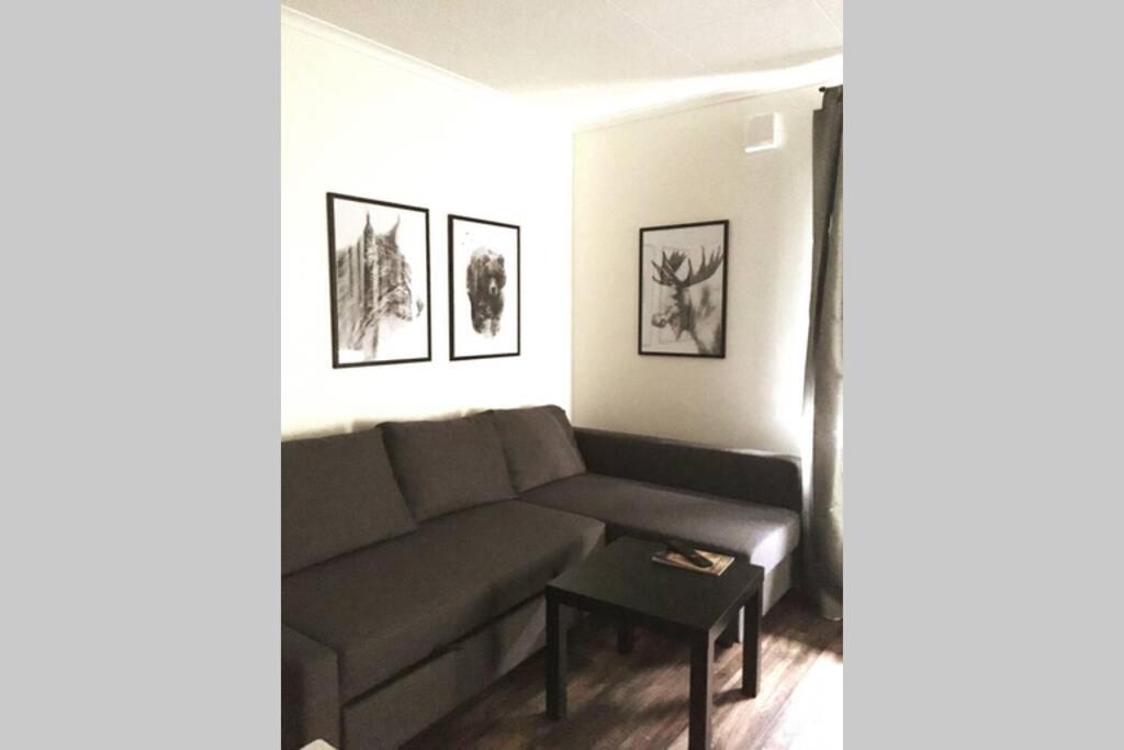 Bograngen Lgh C Apartment Brograngen Ngoại thất bức ảnh